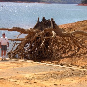 One of those underwater "Anchor Traps" at Lake Shasta