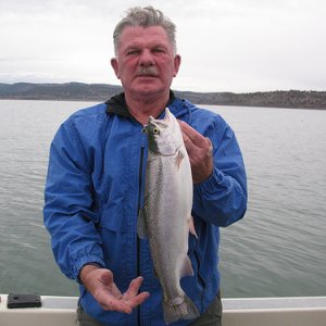 Eagle Lake Trout, Oct., 2007 Caught and Released
