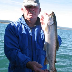 EAGLE LAKE TROUT, CAUGHT ABD RELEASED OCT, '08