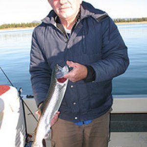 EAGLE LAKE TROUT, CAUGHT ABD RELEASED OCT, '08