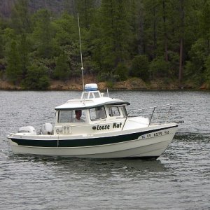 IM005383