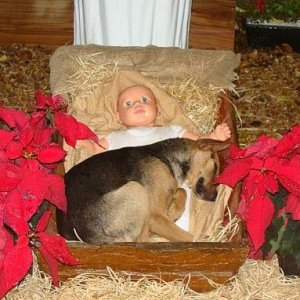 Merry Christmas!