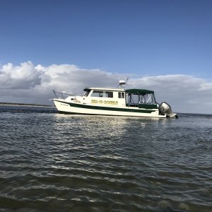 Media 'Beached Life!' in album '2012 TomCat'