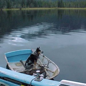 (BOMBERO)
secluded inlet
northern british columbia inlet