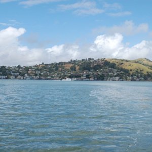DSC 0297