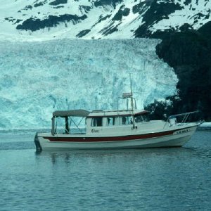 Nainu at Aialik Glacier, AK