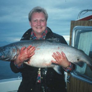 Media 'Mats - late run king - Cook Inlet, AK' in album 'Birds at Cape Resurrection, AK'