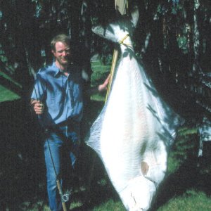 My 15 min of fame - 245# halibut / 20# test