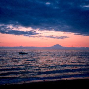 Media 'At anchor, Redoubt volcano - Cook Inlet, AK' in album 'Birds at Cape Resurrection, AK'