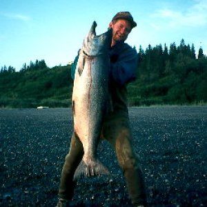 Late run king salmon - Anchor Point, AK