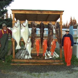 Media 'My parents with a day's catch - Homer, AK' in album 'Birds at Cape Resurrection, AK'