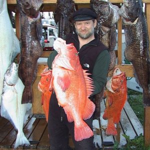 Yelloweye rockfish - Homer, Ak