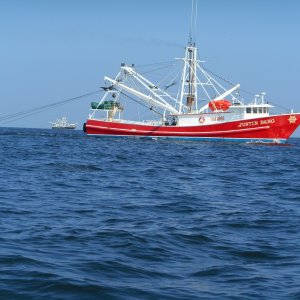 One of a hundred shrimp boats offshore.