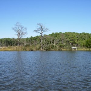 East side of Miller Creek in Bethany Beach, DE. Looking at duck blind in the state wildlife refuge. Miller is off Little Assawoman Bay, DE.
10-03-
08
