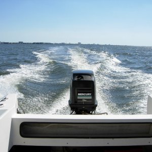 Wake in Assawoman Bay, MD
10/03/08