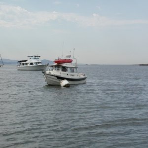 C-Cakes secure at Cabbage Island Marine Park