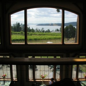 Winery Finery