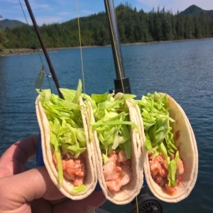 Taco Tuesday.  Fish tacos, of course.