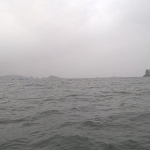 Returning back towards Tofino outside of Flores Island.  I fly fished for black rock fish until they had broken all my tippets and made off with all my flies.  Good fun.