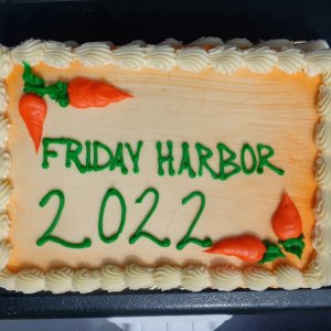 Media 'Friday Harbor Cake 2022' in album 'Friday Harbor Cake 2022'