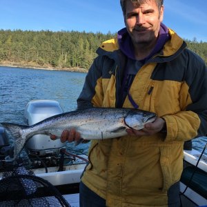 Media 'after giving salmon banks a try and only getting a shaker (killer whales may have had something to with it as were passing by eagle pt), we moved to the south east side of Orcas.  Lots of bait on the screen.  26" fish hit the deep rod, 130' of wire in 100' of  water.  This was the first time that  I got a tip while undergoing a safety inspection from the coast guard regarding where to fish.  Nice hard fighting fish' in album 'DSCN1603'