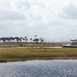 22.) Winding through the Econlockhatchee River with Blue Days
