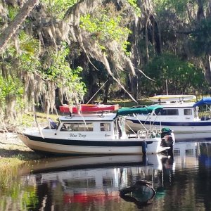 24. Beached for the night far up the Econlockhatchee River.