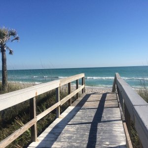 Media '41.) Don Pedro Island beach' in album '1.) Hontoon State Park'