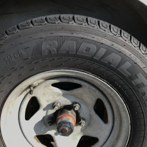 IMG 8587