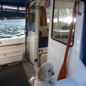 2009 Venture 23 Pacific Wanderer