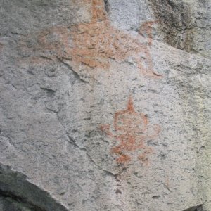Pictograph, Killer Whale