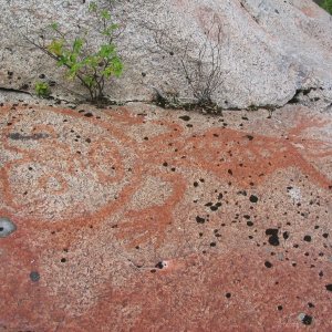 Pictograph, Human Being