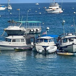 C-Traveler, Pounder, Sea Spray