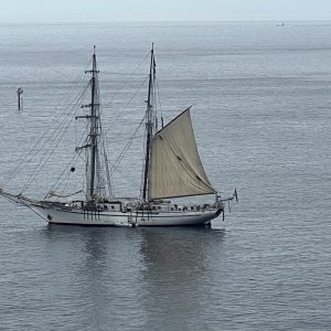 148TwoHarborsIrvingJohnsonTallShip