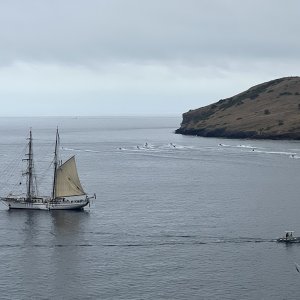 150IrvingJohnsonTallShip