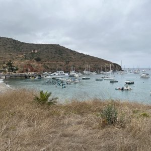 151TwoHarbors
