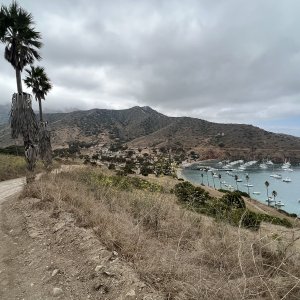 166TwoHarbors