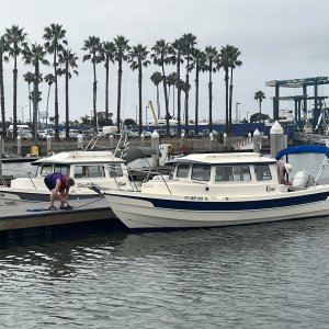 Media '177MarinaDelRey' in album 'C-Traveler at the guest dock in Marina Del Rey'