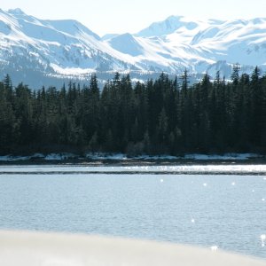 Media 'Mountains surround Boat Harbor.' in album 'Entering Boat Harbor from Lynn Canal'