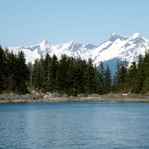 Media 'Entrance disappears into the scenery' in album 'Entering Boat Harbor from Lynn Canal'