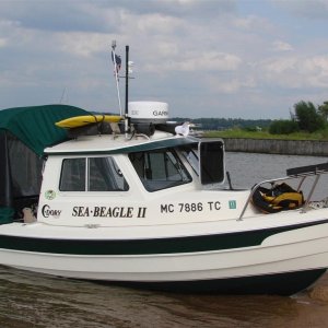 7 (54)