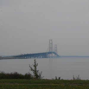 7 (74)
