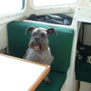 (FreighterGazer) 2nd Mate Scruffy.  The real "Salty Dog".
