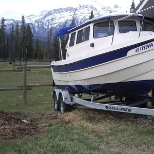 Media 'grazing grizzly admiring new boat' in album 'Sue for a swim, Lake Minnewanka'