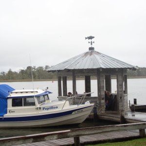 C-Dory at rest