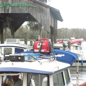 C-Dory Bunch
