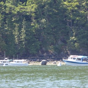 Now theres a handsome line-up of boats. The Late-80s Sea Sport 22 was built by the current builders of C-Dory.