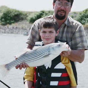(starcrafttom) striper on the sac.