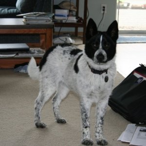 2008 920 resize