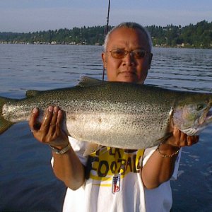 bigcutt